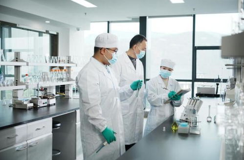 茶润民心 质守初心 理想华莱以信息技术赋能茶产业高质量发展